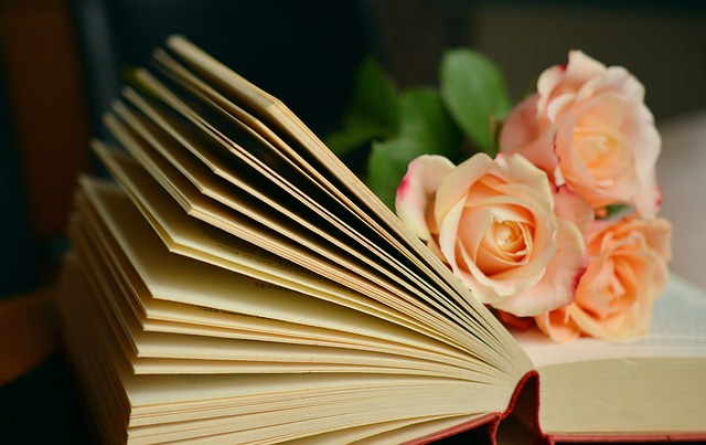 růže na knize