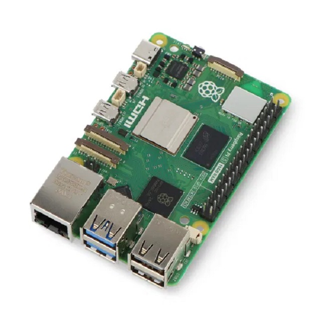 raspberry 1